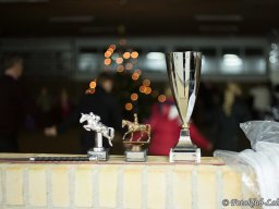 IMG_4188_web